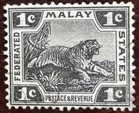 [Tiger - Different Watermark, type C40]