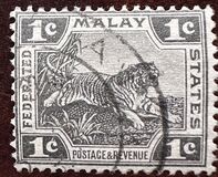 [Tiger - Different Watermark, type C40]