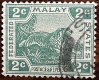 [Tiger - Different Watermark, type C42]