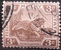 [Tiger - Different Watermark, type C45]