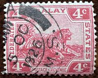 [Tiger - Different Watermark, type C46]