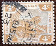 [Tiger - Different Watermark, type C47]