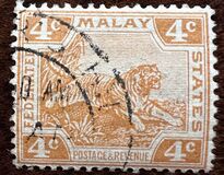 [Tiger - Different Watermark, type C47]