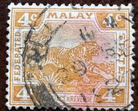 [Tiger - Different Watermark, type C47]