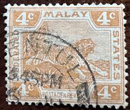 [Tiger - Different Watermark, type C47]