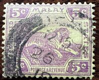 [Tiger - Different Watermark, 类型 C48]