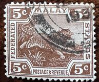 [Tiger - Different Watermark, 类型 C49]