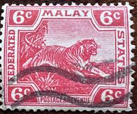 [Tiger - Different Watermark, 类型 C51]