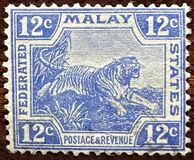 [Tiger - Different Watermark, 类型 C55]