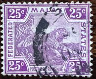[Tiger - Different Watermark, 类型 C57]