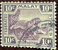 [Tiger - Different Watermark, 类型 C54]