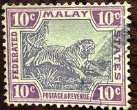 [Tiger - Different Watermark, 类型 C54]