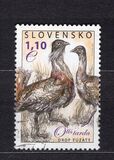 [Birds - Great Bustard, type VK]