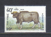 [Mammals, タイプ AUG]