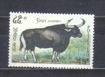 [Mammals, タイプ AUI]