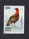 [Indian Birds, tip QG]