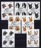 [Dogs, type APY]