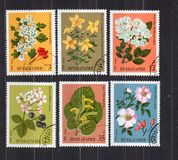 [Medicinal Plants, Вид DAZ]