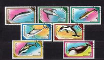 [Whales and Dolphins, type BWP]