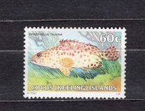 [Fish, tip AZ]