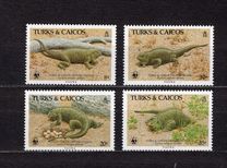 [Turks and Caicos Ground Iguana, type VY]