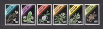 [Flowering Plants, type XA]