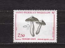 [Fungi, type IR]