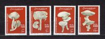 [Mushrooms, type AKA]