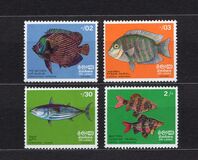 [Fish, տեսակ D]