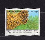 [The Date Palm, type LK]