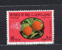 [Fruits, type IN]
