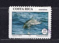 [Dolphins, type ALL]