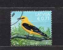 [Latvian Birds, ประเภท AAP]