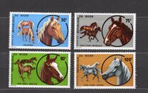 [Horse-breeding, type MY]