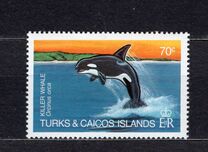 [Whales, tyyppi QR]