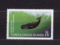 [Whales, tyyppi QS]