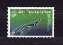 [Whales, tyyppi QU]