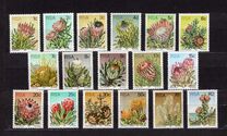 [Flora - Protea Plants, tyyppi PG]