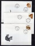[Cats, Typ GS]