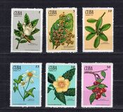 [The Medicinal Plants, type BIK]