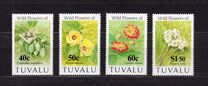 [Flowers, type XY]