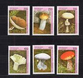 [Fungi, tegund AST]