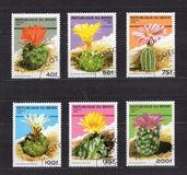 [Flowering Cacti, type TV]