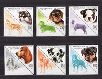 [Dogs, Tipe AVD]