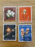 [Thai Orchids, typ KI]