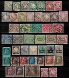 [Coat of Arms - Diamond Width in Watermark 15-17mm, タイプ D24]