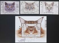[Neva Masquerade - Cats, 类型 ATS]