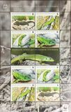 [Fauna - Balkan Green Lizard, type KJ]