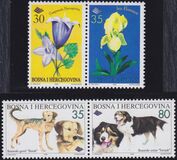 [Flora and Fauna, סוג AZ]