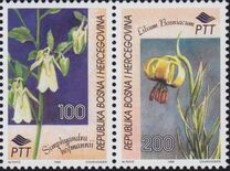 [Flora and Fauna, veids S]